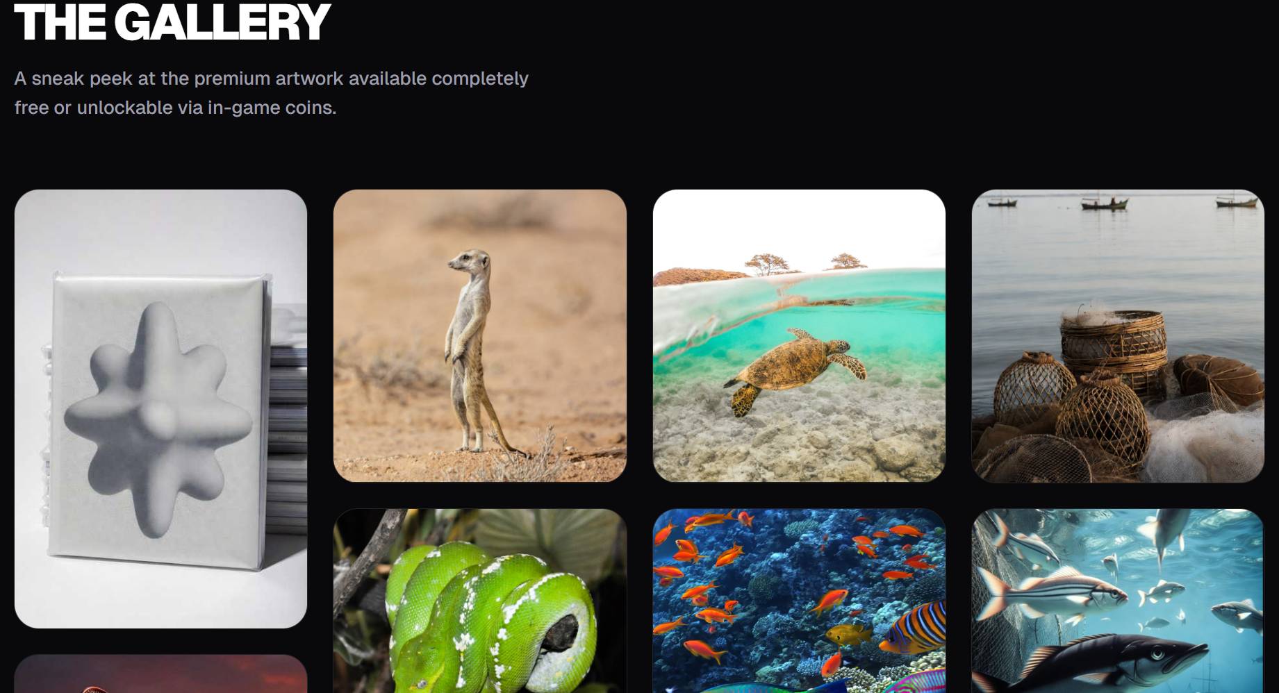Wide Range Gallery feature
